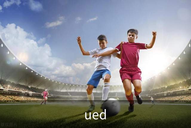 ued公司简介